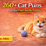 cat puns