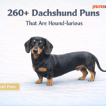 dachshund puns