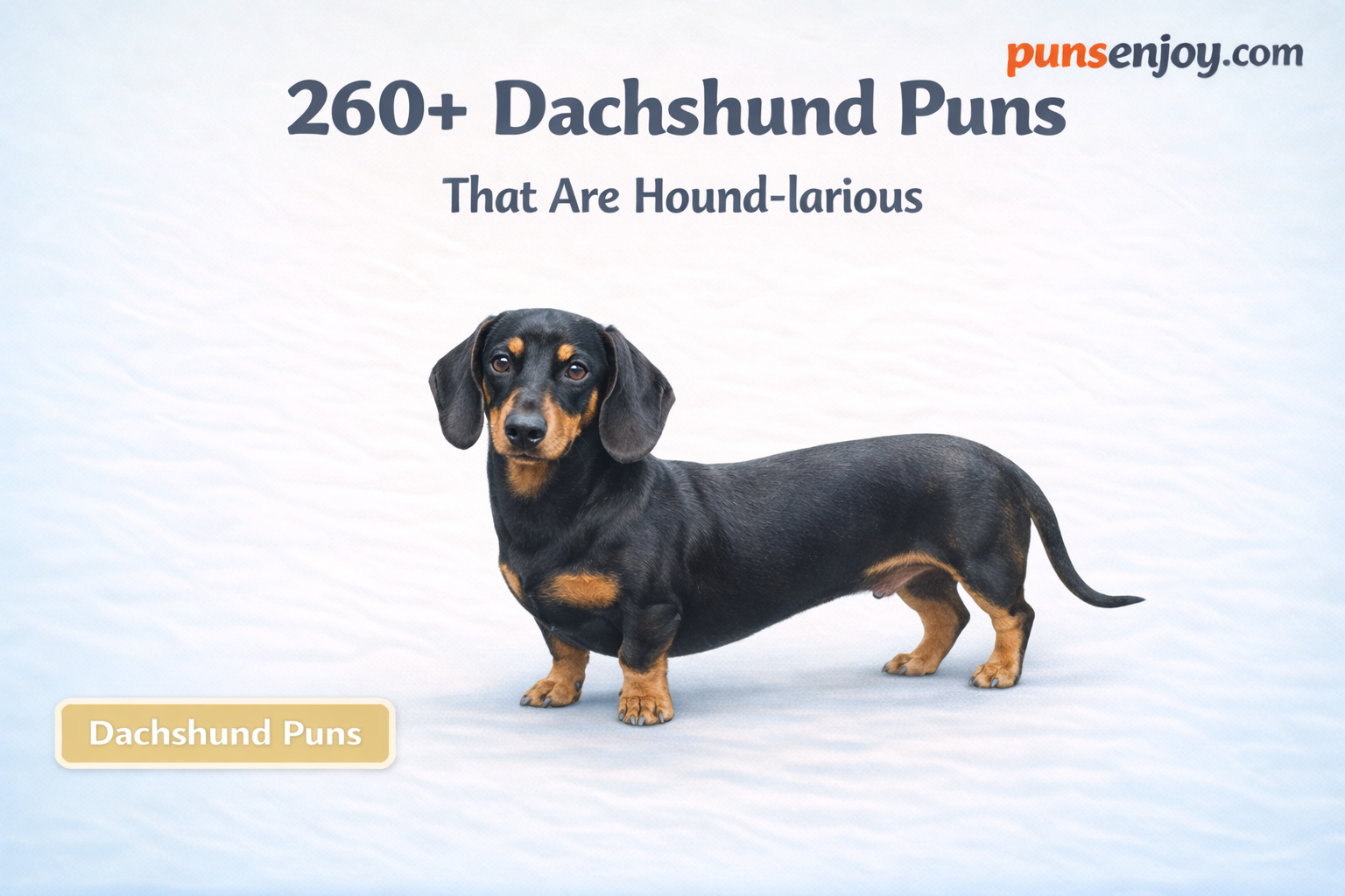 dachshund puns