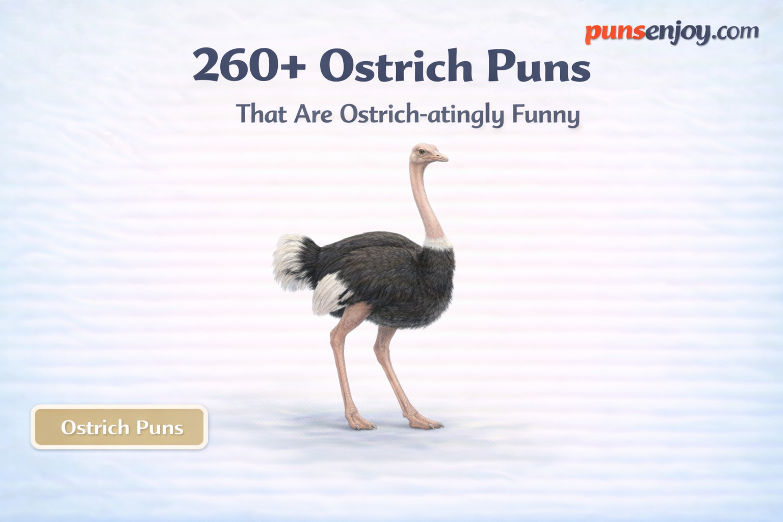 ostrich puns