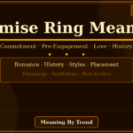promise ring meaning