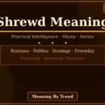 shrewd meaning