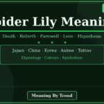spider lily meaning