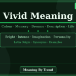 vivid meaning