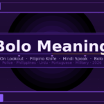 bolo meaning