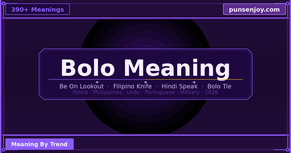 bolo meaning