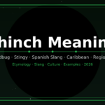 chinch-meaning