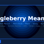 dingleberry meaning