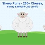 sheep_puns
