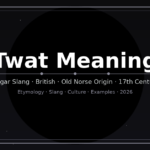 twat-meaning