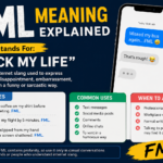 FML meaning